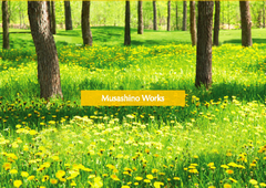 タンポポのたとう紙