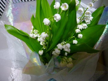 スズランの花束、香りよし！