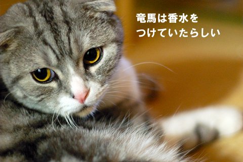 幕末・竜馬の香水