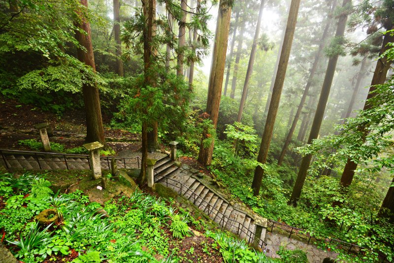 山寺への参道