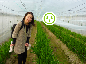 フリージアの香り