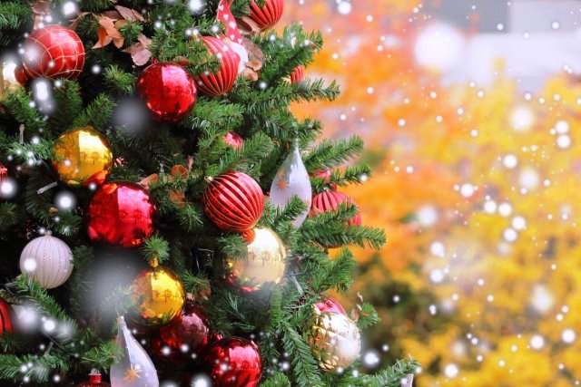 2025、年末キャンペーン