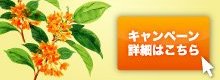 金木犀キャンペーンバナー