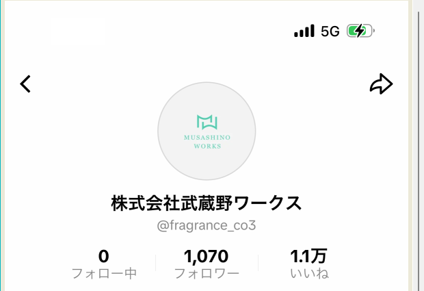 TikTokで活動する偽アカウント