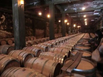 ワインセラーと香水セラー